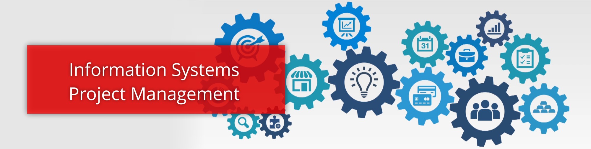 Information Systems Project Management